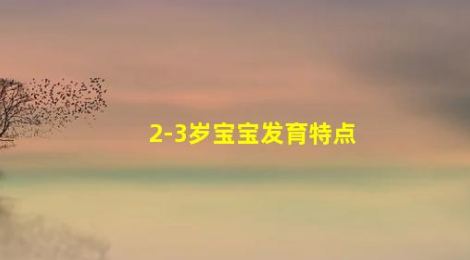 2-3歲孩子全身發(fā)育的標(biāo)志有哪些(2-3歲寶寶發(fā)育特點(diǎn))