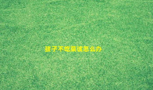 孩子不吃菜該怎么辦(孩子不吃菜有什么辦法調(diào)理)