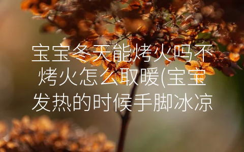寶寶冬天能烤火嗎不烤火怎么取暖(寶寶發(fā)熱的時候手腳冰涼需要保暖嗎)
