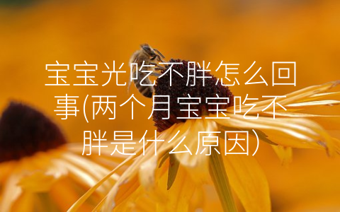 寶寶光吃不胖怎么回事(兩個月寶寶吃不胖是什么原因)