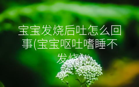 寶寶發(fā)燒后吐怎么回事(寶寶嘔吐嗜睡不發(fā)燒)