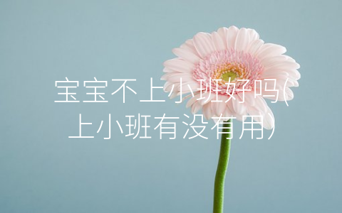 寶寶不上小班好嗎(上小班有沒有用)