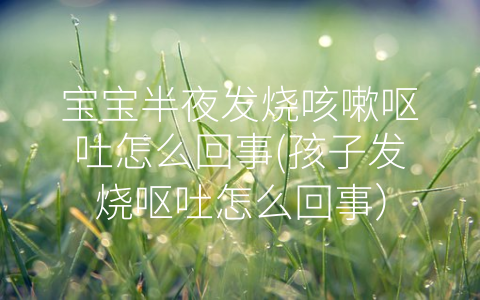 寶寶半夜發(fā)燒咳嗽嘔吐怎么回事(孩子發(fā)燒嘔吐怎么回事)