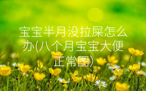 寶寶半月沒拉屎怎么辦(八個月寶寶大便正常圖)