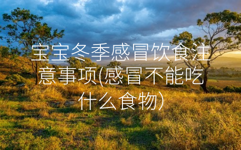 寶寶冬季感冒飲食注意事項(xiàng)(感冒不能吃什么食物)
