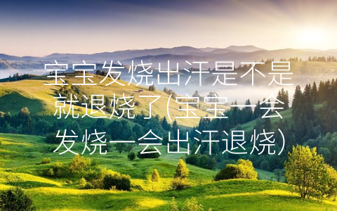 寶寶發(fā)燒出汗是不是就退燒了(寶寶一會發(fā)燒一會出汗退燒)