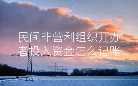民間非營(yíng)利組織開(kāi)辦者投入資金怎么記賬