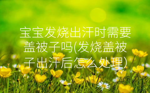 寶寶發(fā)燒出汗時需要蓋被子嗎(發(fā)燒蓋被子出汗后怎么處理)