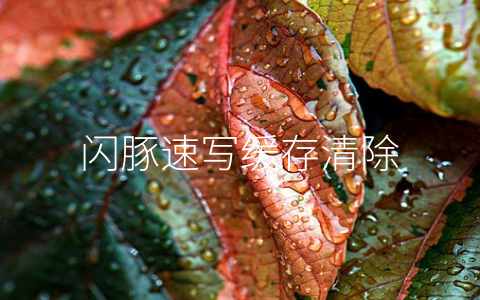 閃豚速寫緩存清除