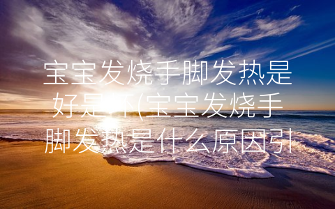 寶寶發(fā)燒手腳發(fā)熱是好是壞(寶寶發(fā)燒手腳發(fā)熱是什么原因引起的)