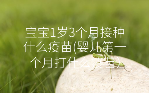 寶寶1歲3個月接種什么疫苗(嬰兒第一個月打什么疫苗)