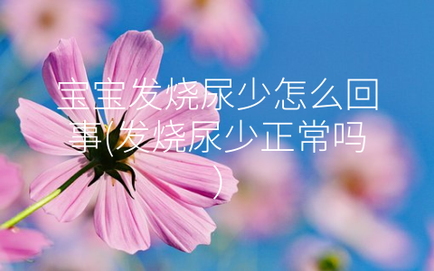 寶寶發(fā)燒尿少怎么回事(發(fā)燒尿少正常嗎)