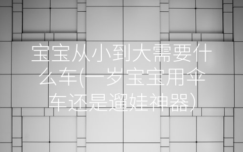 寶寶從小到大需要什么車(一歲寶寶用傘車還是遛娃神器)