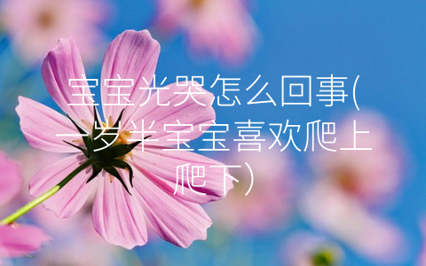 寶寶光哭怎么回事(一歲半寶寶喜歡爬上爬下)