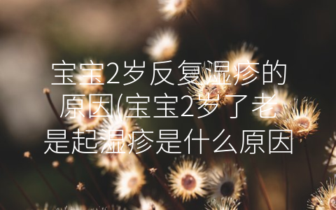 寶寶2歲反復濕疹的原因(寶寶2歲了老是起濕疹是什么原因)
