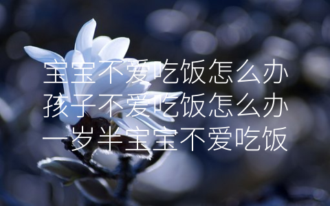 寶寶不愛吃飯怎么辦孩子不愛吃飯怎么辦一歲半寶寶不愛吃飯(一歲半突然不愿意吃飯)