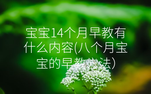 寶寶14個月早教有什么內(nèi)容(八個月寶寶的早教方法)