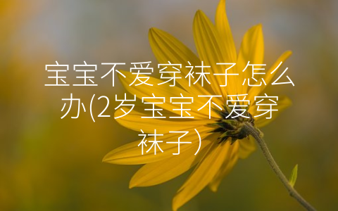 寶寶不愛穿襪子怎么辦(2歲寶寶不愛穿襪子)